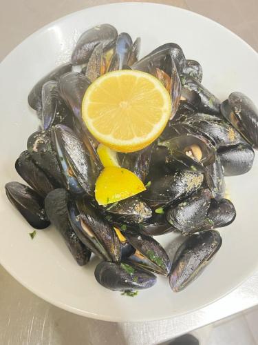 Immagine-WhatsApp-2024-09-28-ore-12.55.19 29d2478f